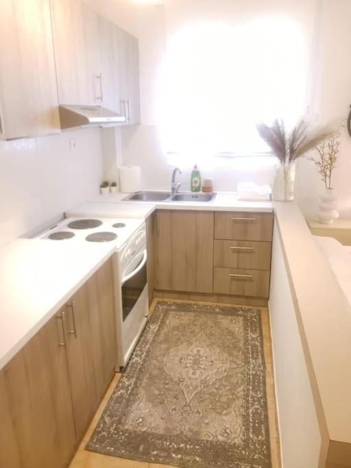 Apartment Beautiful Downtown Studio! Ioannina